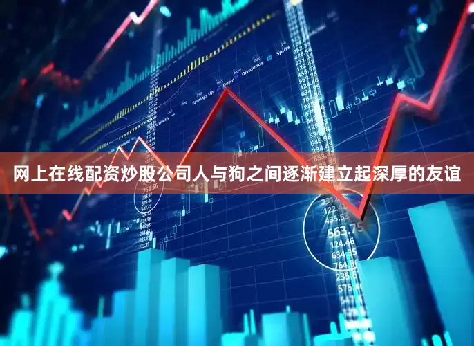 网上在线配资炒股公司人与狗之间逐渐建立起深厚的友谊
