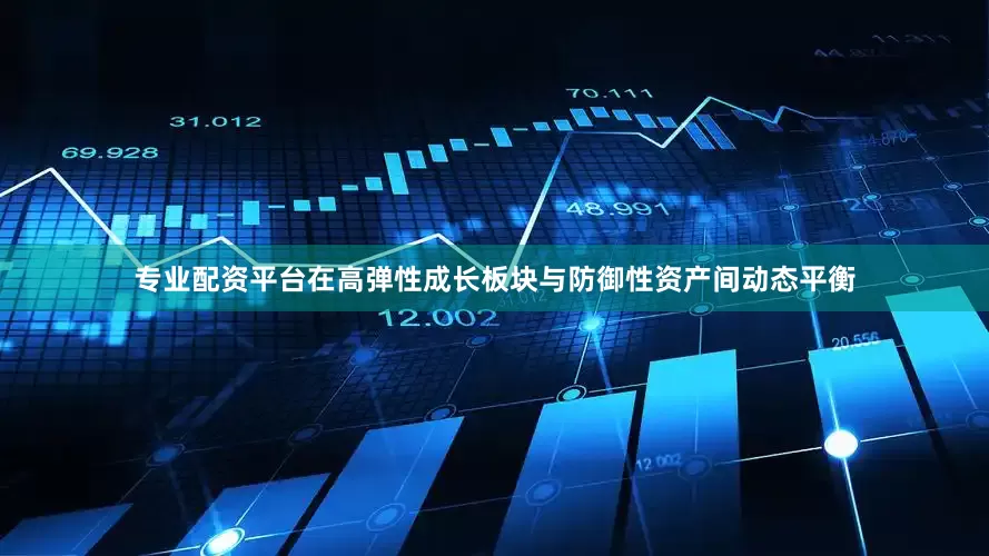 专业配资平台在高弹性成长板块与防御性资产间动态平衡