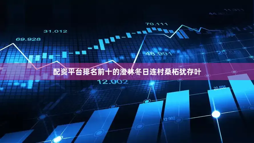 配资平台排名前十的澄林冬日连村桑柘犹存叶